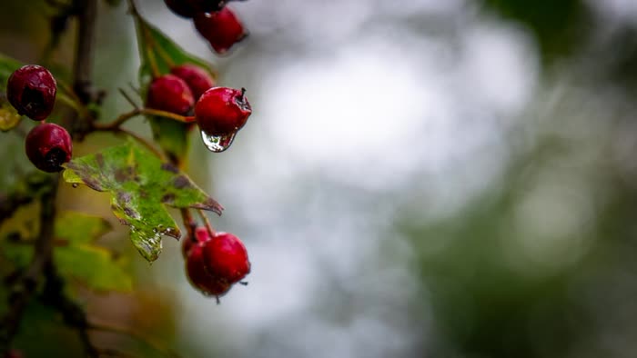Nature photography