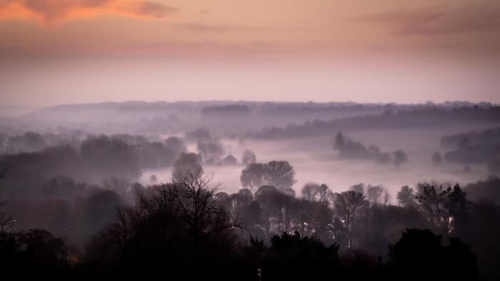 Nature photography