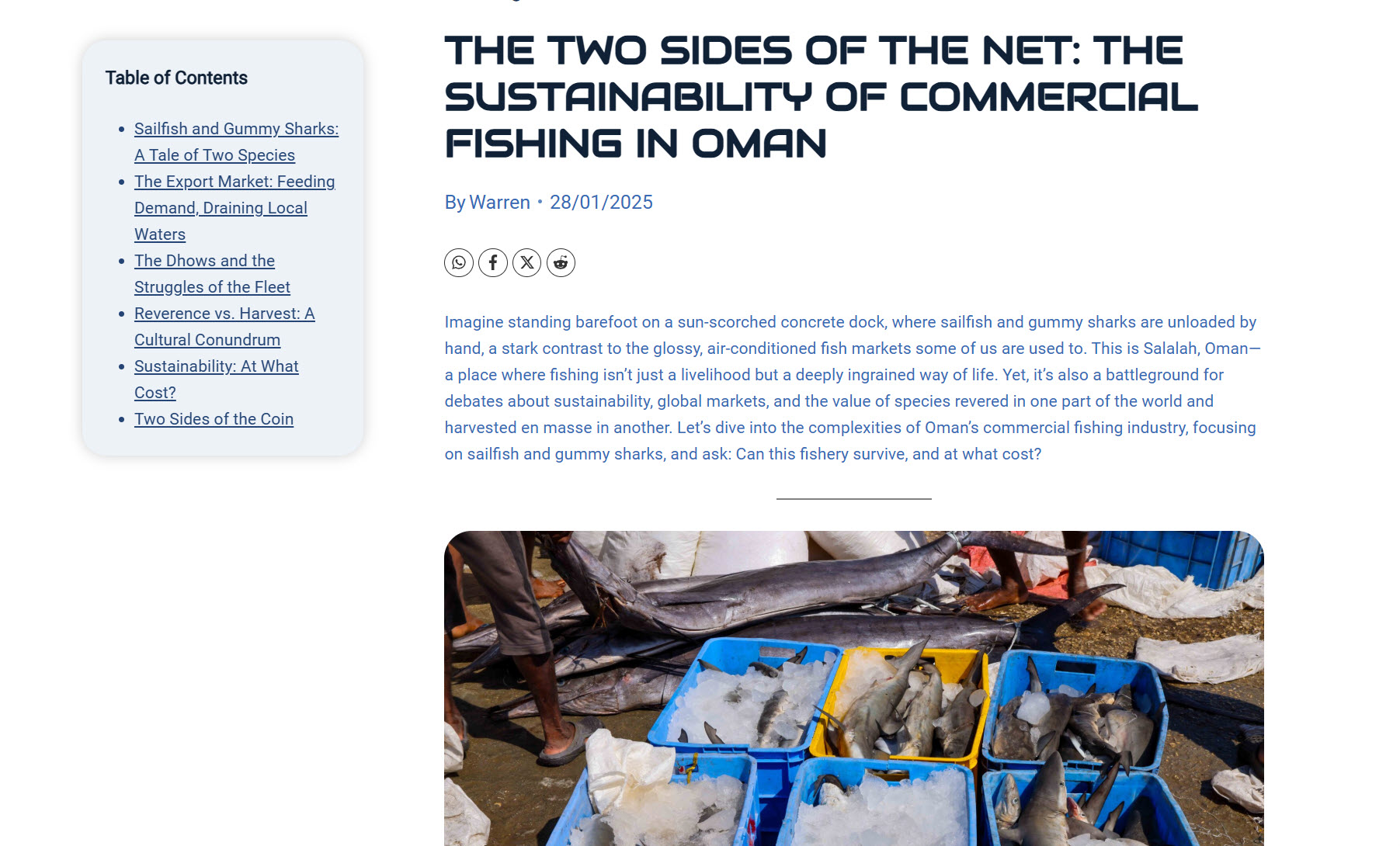 Toit Fish Tech blog post. The Two Sides of the Net: The Sustainability of Commercial Fishing in Oman