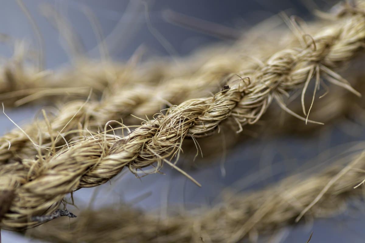 Close-up of a twisted natural fibre rope with frayed strands