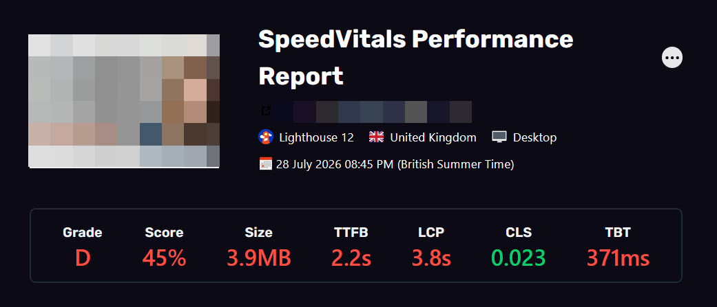 SpeedVitals report for the site before the work: grade D, performance score 45%, page size 3.9MB, server response 2.2 seconds, largest contentful paint 3.8 seconds.